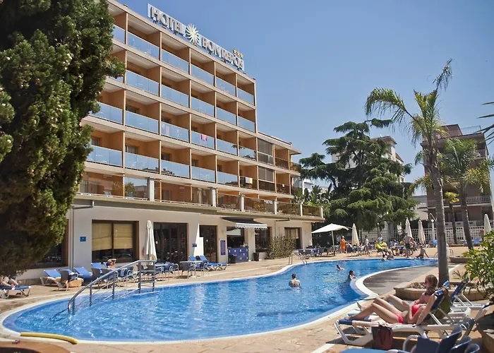 Bon Repos カレーリャ