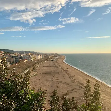 酒店 Bon Repos 卡里拉