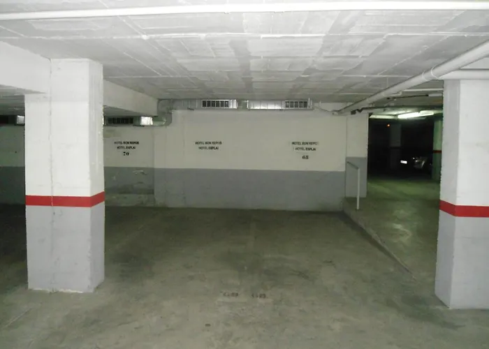 Bon Repos كاليليا